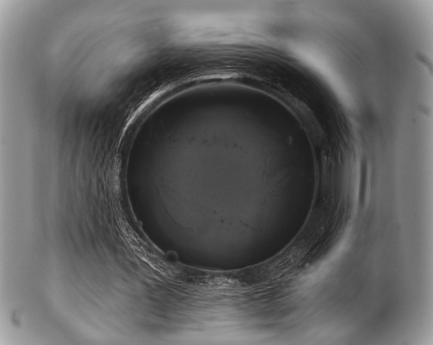 X0000102240387200807251304