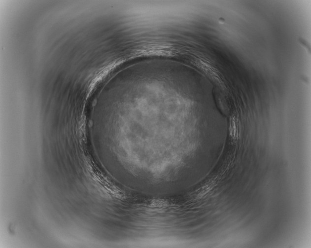 X0000102240388200807251304