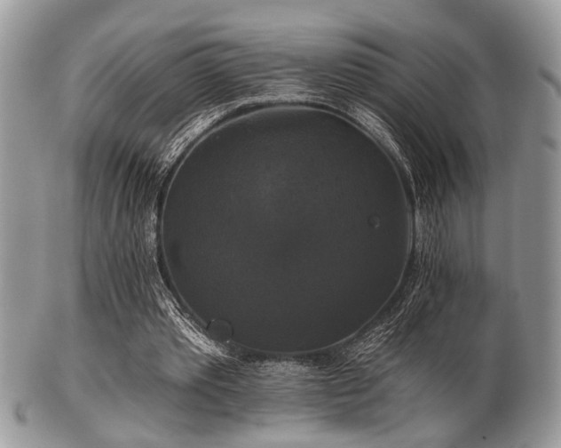 X0000102240389200807251304