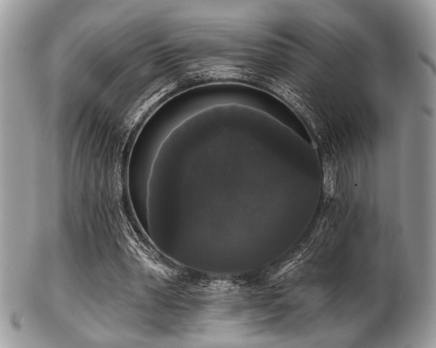 X0000102240390200807251304