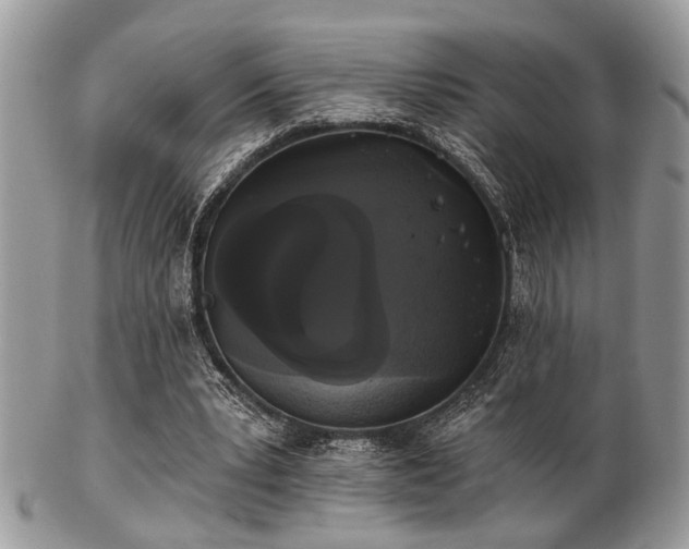 X0000102240391200807251304