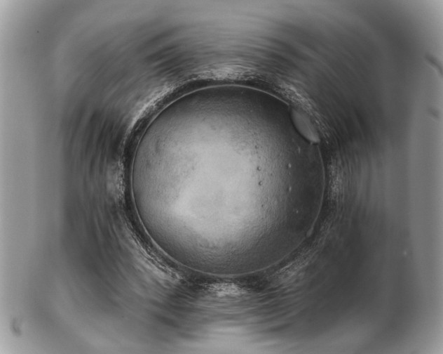 X0000102240392200807251304