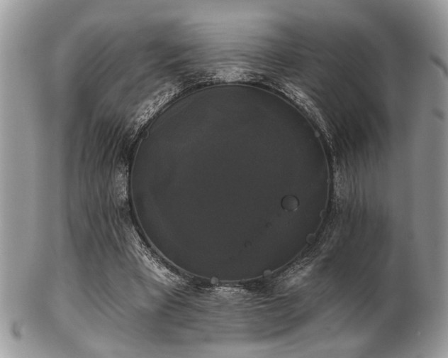 X0000102240393200807251304