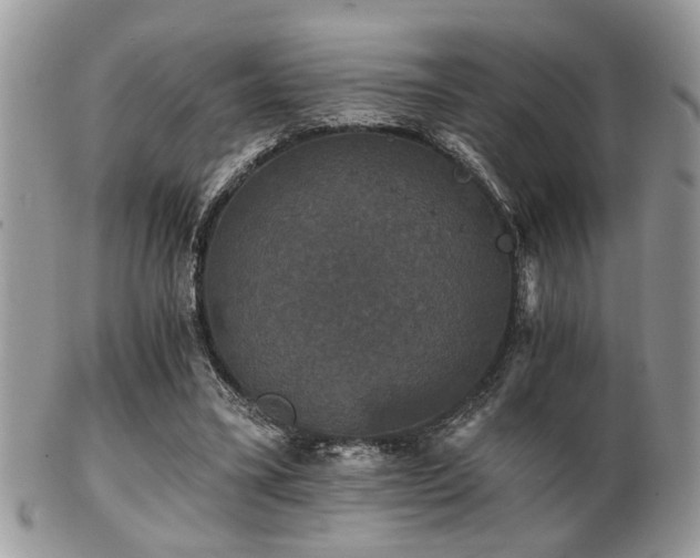 X0000102240395200807251304