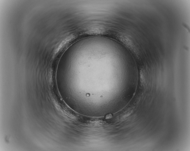 X0000102240396200807251304