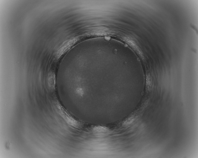 X0000102240397200807251304