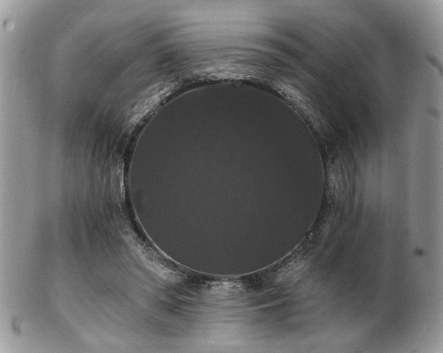 X0000102240398200807251304