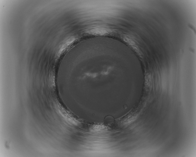 X0000102240399200807251304