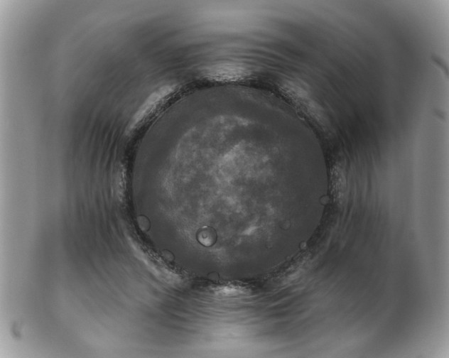 X0000102240400200807251304