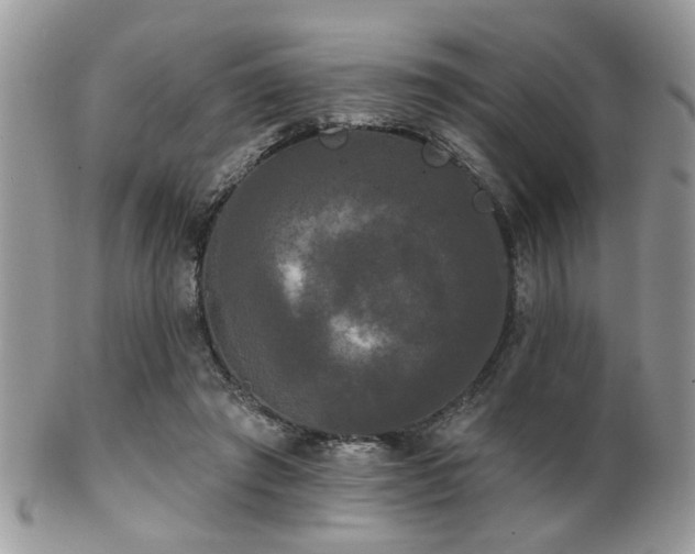 X0000102240401200807251304