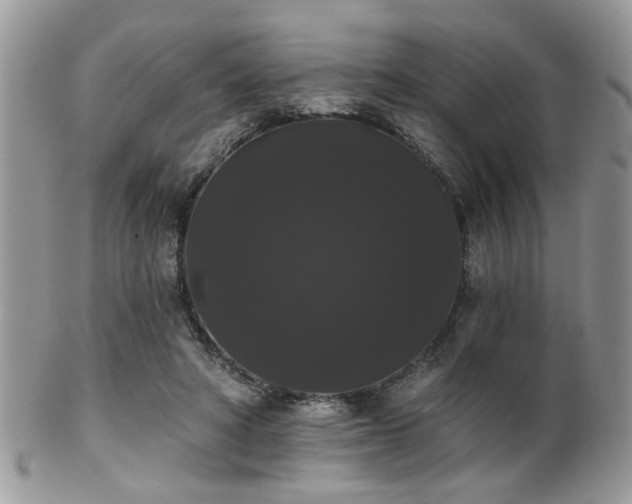 X0000102240402200807251304