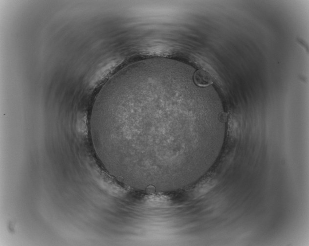 X0000102240403200807251304