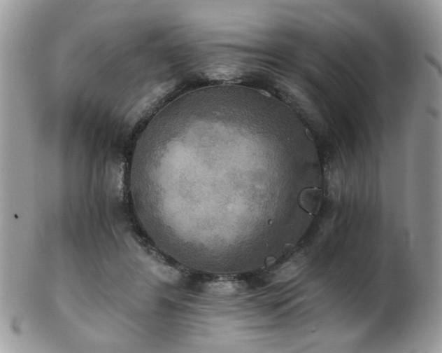 X0000102240404200807251304