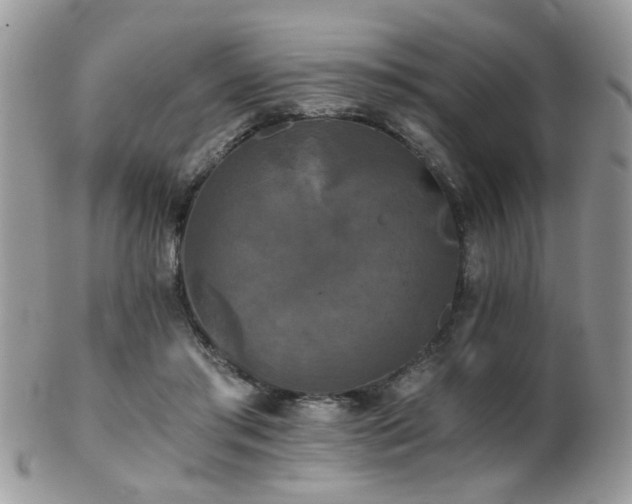 X0000102240405200807251304