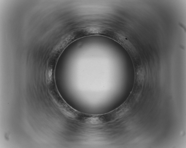 X0000102240406200807251304