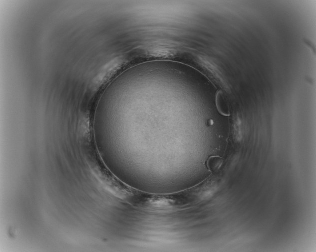 X0000102240407200807251304