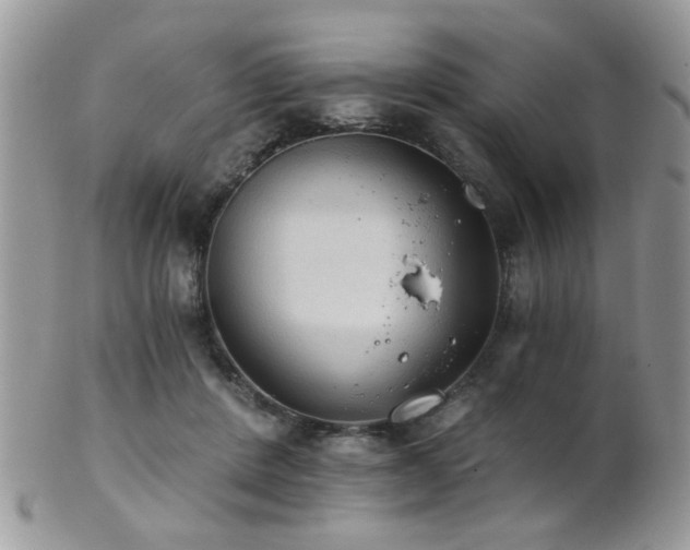 X0000102240408200807251304