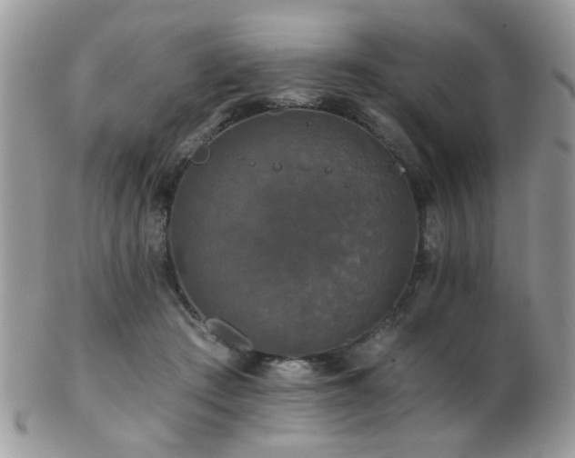 X0000102240409200807251304