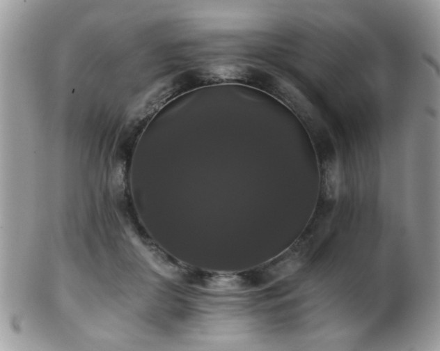 X0000102240410200807251304