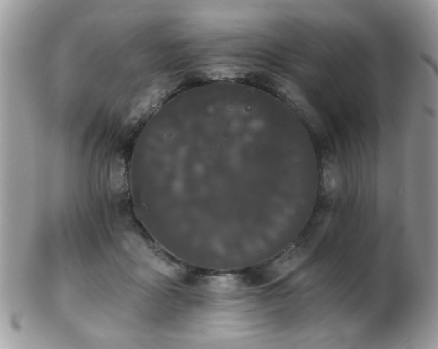 X0000102240411200807251304