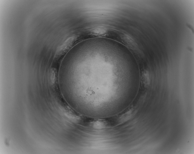 X0000102240412200807251304