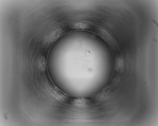 X0000102240414200807251304