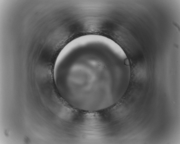 X0000102240415200807251304