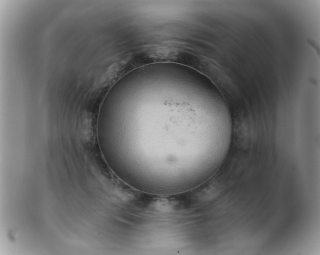 X0000102240416200807251304