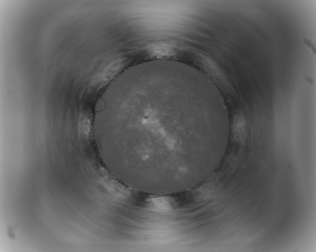 X0000102240417200807251304