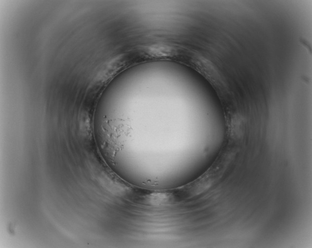 X0000102240418200807251304