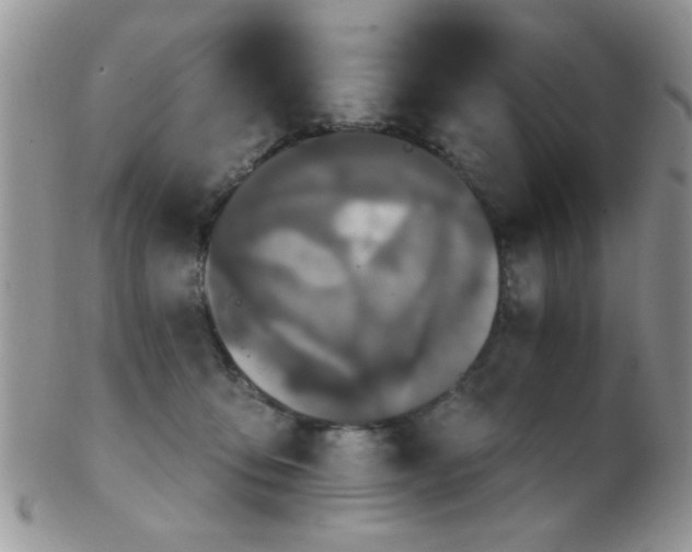 X0000102240419200807251304