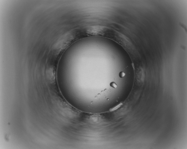 X0000102240420200807251304