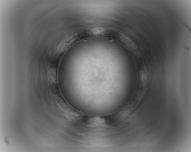 X0000102240421200807251304