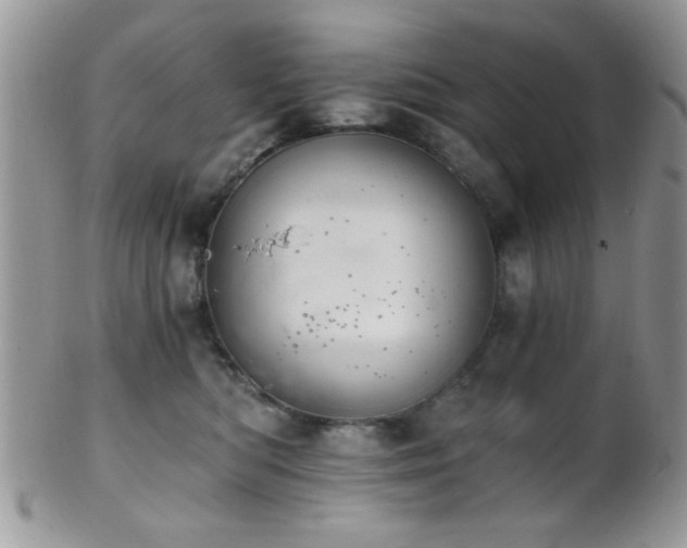 X0000102240422200807251304