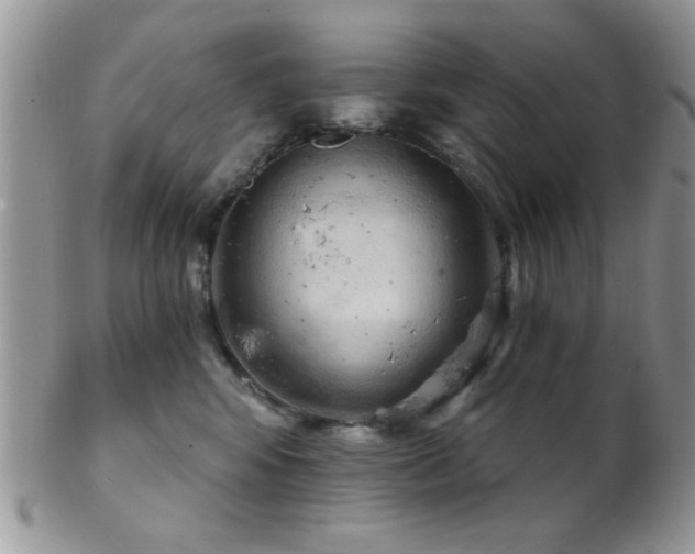 X0000102240424200807251304