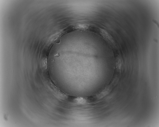 X0000102240425200807251304