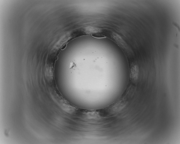 X0000102240426200807251304