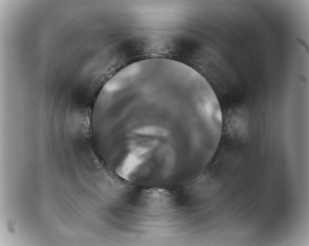 X0000102240427200807251304