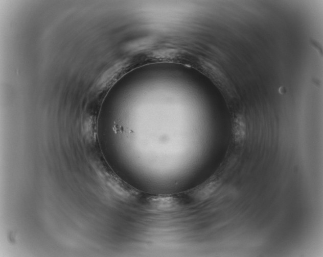 X0000102240428200807251304