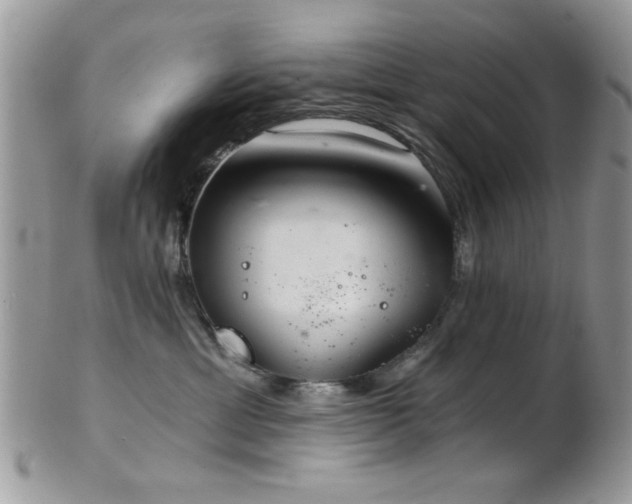 X0000102240429200807251304