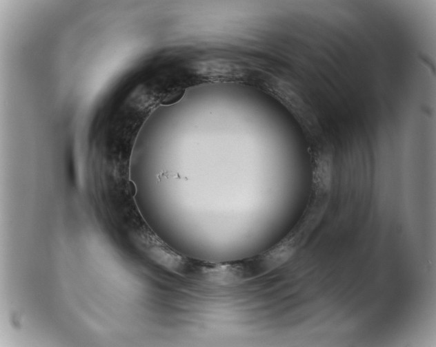 X0000102240430200807251304