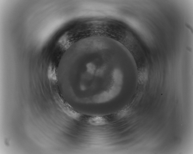 X0000102240431200807251304