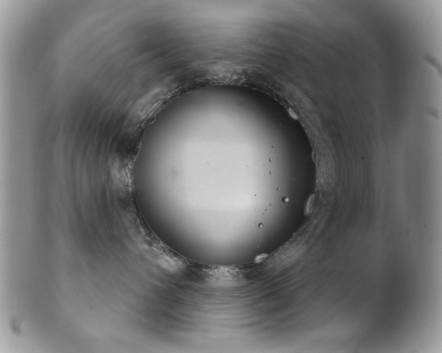 X0000102240432200807251304