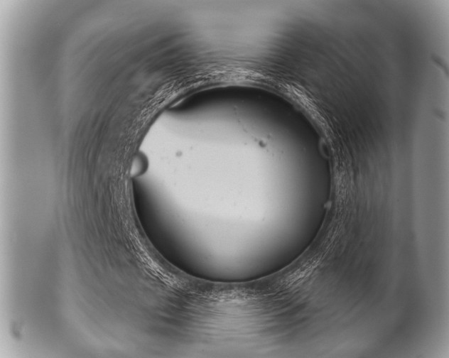 X0000102240433200807251303