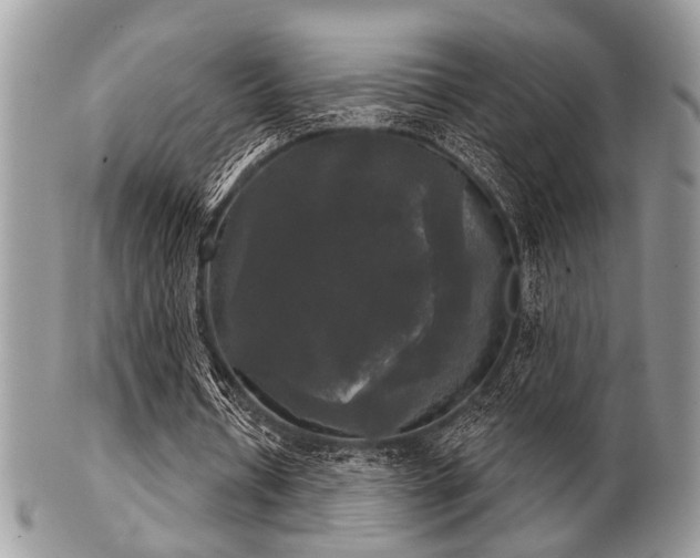 X0000102240434200807251303