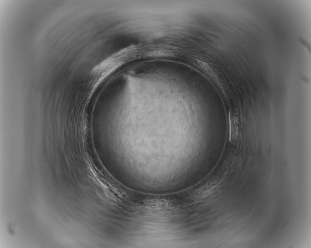 X0000102240435200807251303