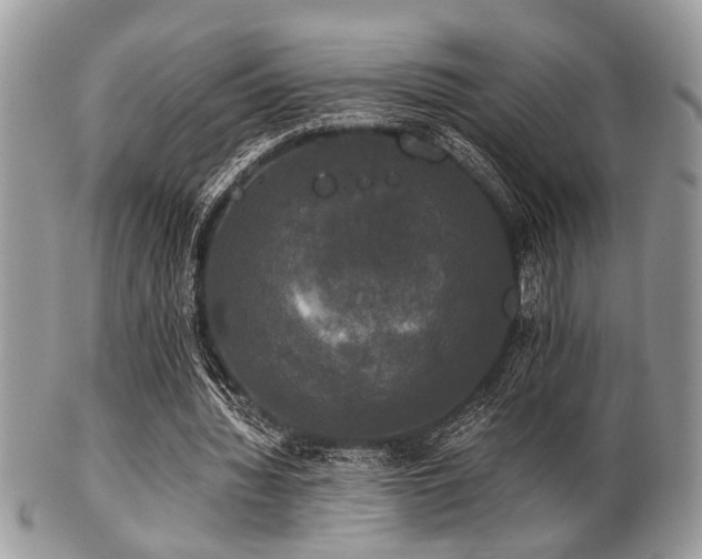 X0000102240436200807251303