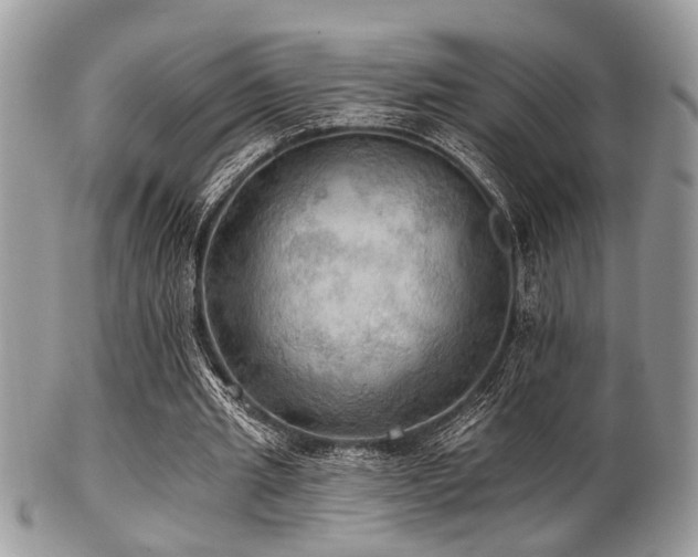 X0000102240437200807251303