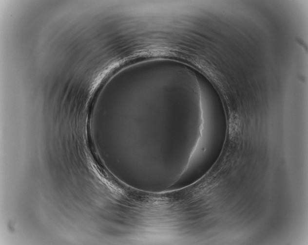 X0000102240438200807251303