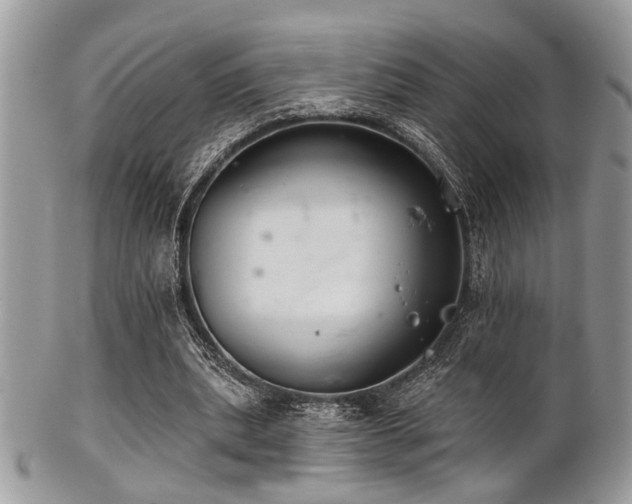 X0000102240439200807251303